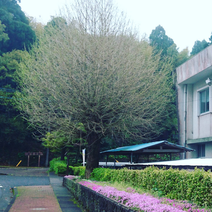 Img_20190410_173349_627