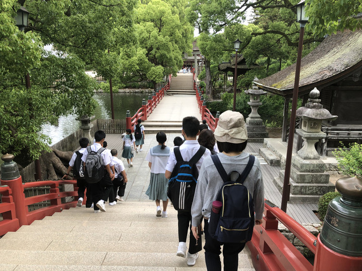 08f6440d3f184de0bdd43883e80e9e66