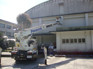 Dsc06174