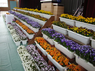 Dsc06181