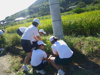 Img_20171004_142936_2