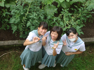 Dsc08887