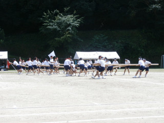 P9080014_2