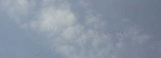 Dsc09539